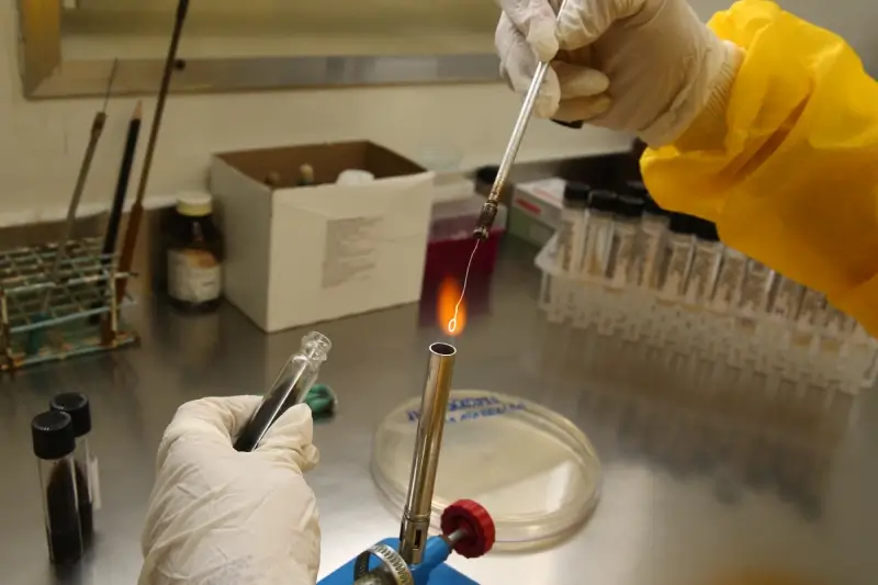 Material & NDT Testing